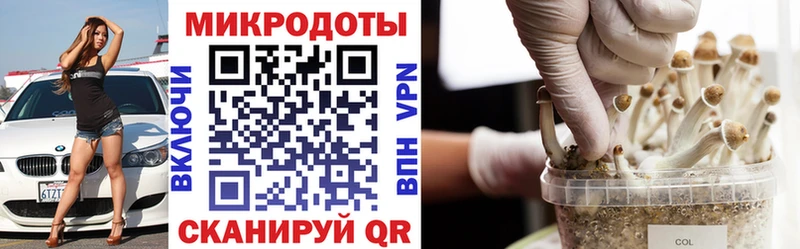 где можно купить   Димитровград  blacksprut зеркало  Галлюциногенные грибы мицелий 