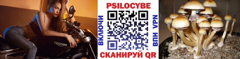 Псилоцибиновые грибы прущие грибы Димитровград