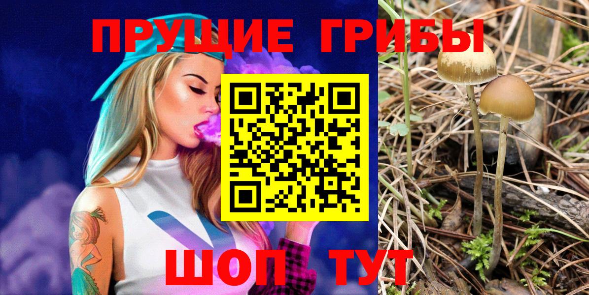 Галлюциногенные грибы MAGIC MUSHROOMS  Вход с VPN  Димитровград 
