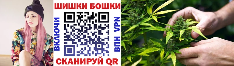 omg как войти  Димитровград  Бошки Шишки гибрид 